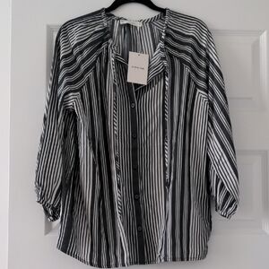 Everlane Black & White Long Sleeve Tunic